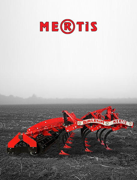 Mertis Serisi