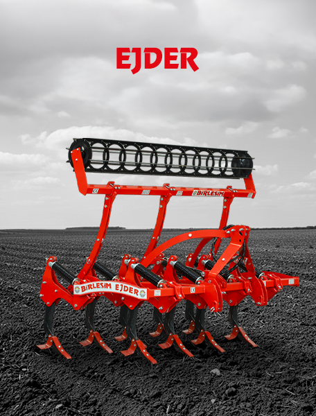 Ejder Serisi